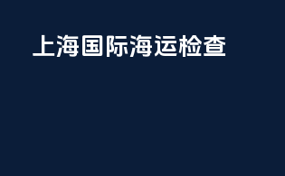 上海国际海运检查