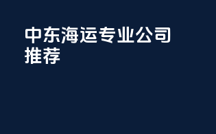 中东海运专业公司推荐