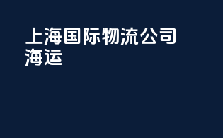 上海国际物流公司海运