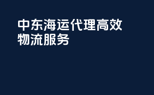 中东海运代理：高效物流服务