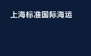 上海标准国际海运