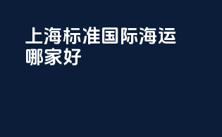 上海标准国际海运哪家好