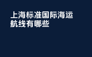 上海标准国际海运航线有哪些