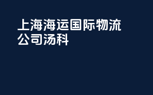 上海海运国际物流公司汤科