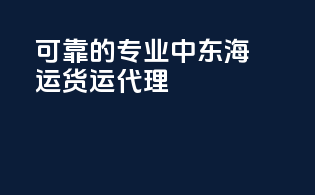 可靠的专业中东海运货运代理