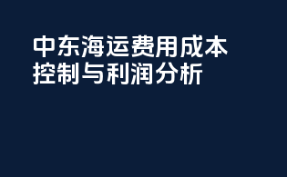 中东海运费用：成本控制与利润分析