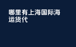 哪里有上海国际海运货代