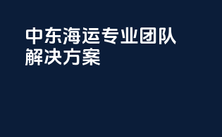 中东海运专业团队解决方案