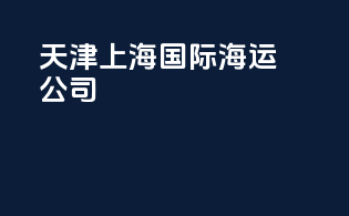 天津上海国际海运公司