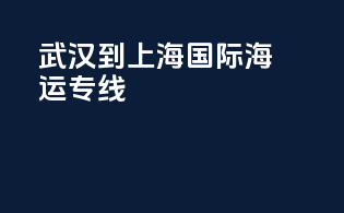 武汉到上海国际海运专线
