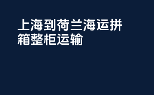 上海到荷兰海运拼箱整柜运输