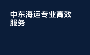 中东海运专业高效服务