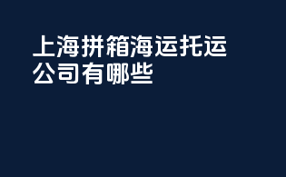 上海拼箱海运托运公司有哪些