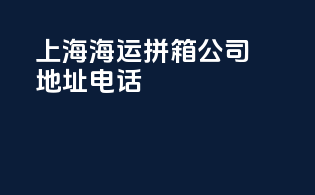 上海海运拼箱公司地址电话