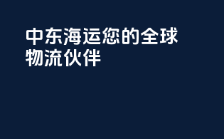 中东海运：您的全球物流伙伴