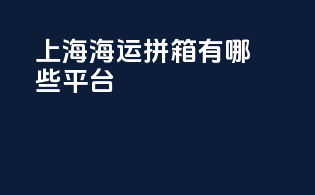 上海海运拼箱有哪些平台
