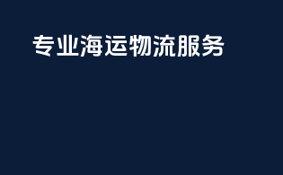 专业海运物流服务