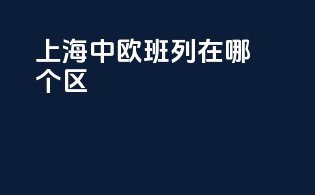 上海中欧班列在哪个区