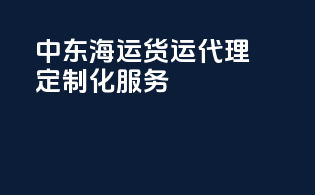 中东海运货运代理定制化服务