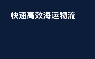 快速高效海运物流
