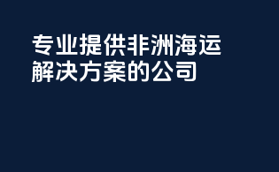 专业提供非洲海运解决方案的公司