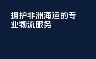 拥护非洲海运的专业物流服务