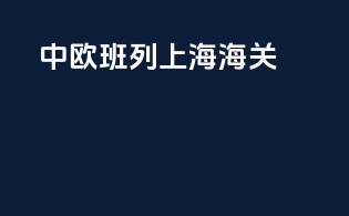 中欧班列上海海关