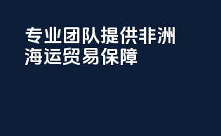 专业团队提供非洲海运贸易保障