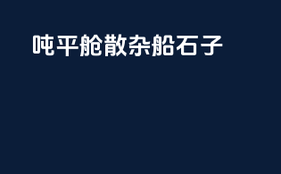 5000吨平舱散杂船石子