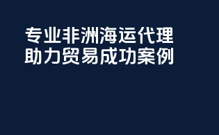 专业非洲海运代理，助力贸易成功案例