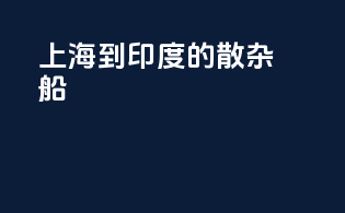 上海到印度的散杂船