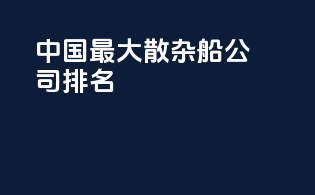 中国最大散杂船公司排名