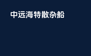 中远海特散杂船