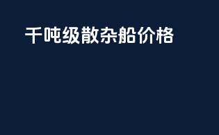 千吨级散杂船价格