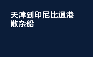 天津到印尼比通港散杂船