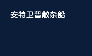 安特卫普散杂船