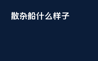 散杂船什么样子