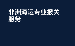 非洲海运专业报关服务