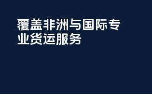 覆盖非洲与国际：专业货运服务