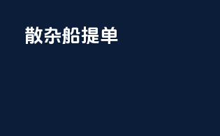 散杂船提单