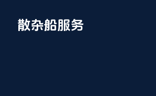 散杂船服务