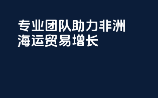 专业团队助力非洲海运贸易增长
