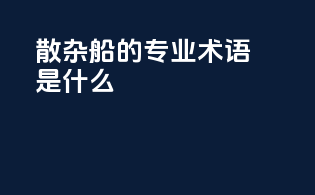 散杂船的专业术语是什么