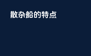 散杂船的特点
