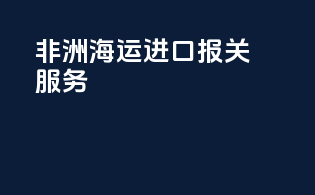 非洲海运进口报关服务