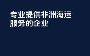 专业提供非洲海运服务的企业