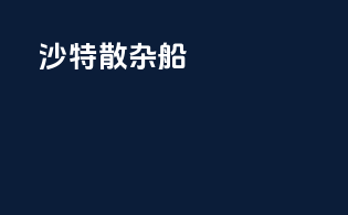沙特散杂船