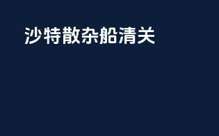 沙特散杂船清关