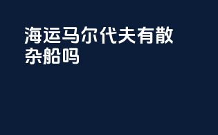 海运马尔代夫有散杂船吗