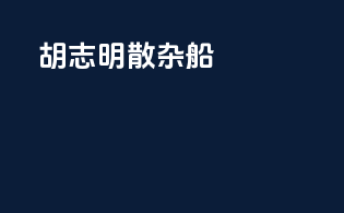 胡志明散杂船